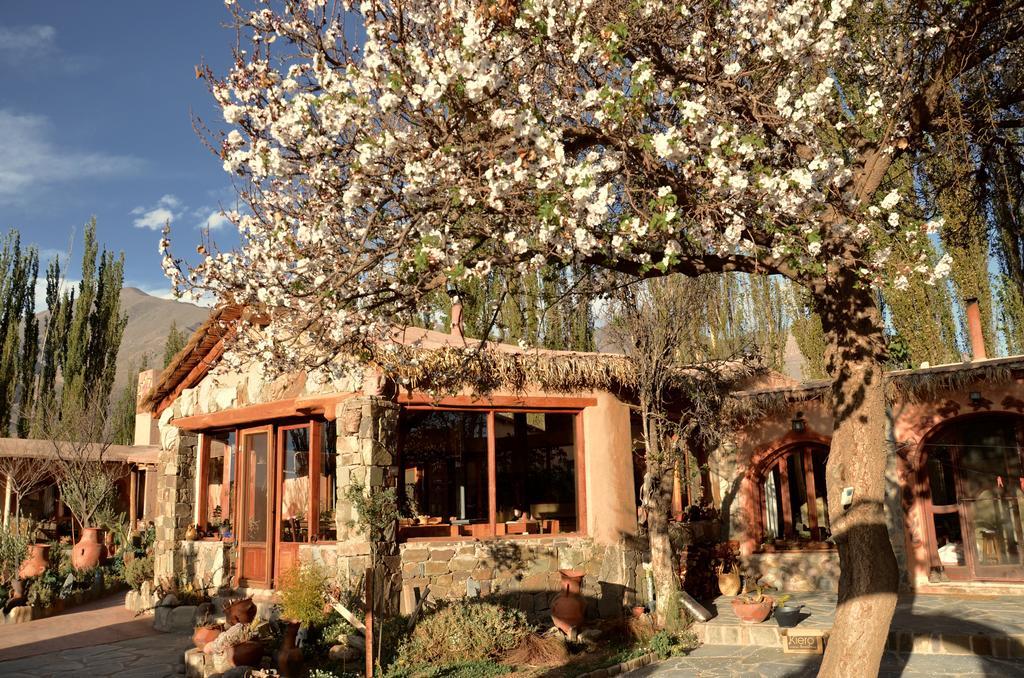 Solar Del Tropico Villa Huacalera Eksteriør billede